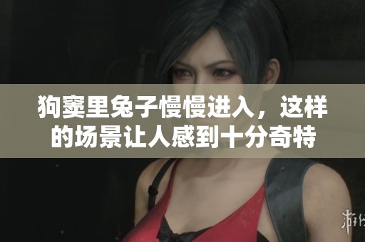 狗窦里兔子慢慢进入，这样的场景让人感到十分奇特