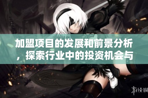 加盟项目的发展和前景分析，探索行业中的投资机会与风险