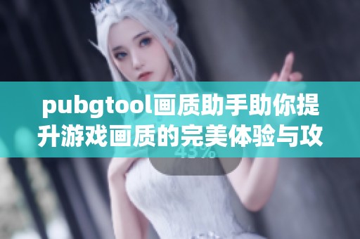 pubgtool画质助手助你提升游戏画质的完美体验与攻略分享
