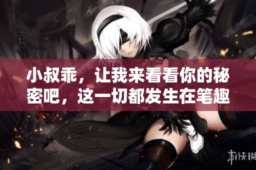 小叔乖，让我来看看你的秘密吧，这一切都发生在笔趣阁里