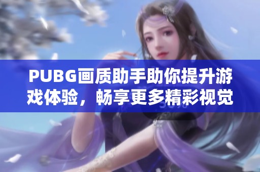 PUBG画质助手助你提升游戏体验，畅享更多精彩视觉效果！