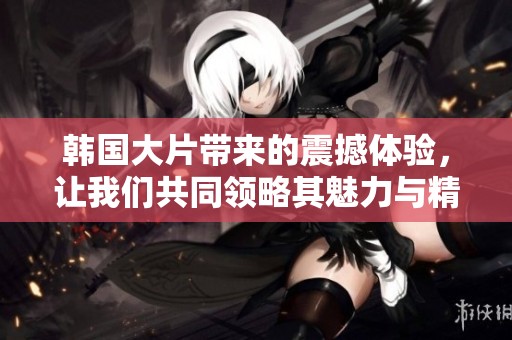 韩国大片带来的震撼体验，让我们共同领略其魅力与精彩内容