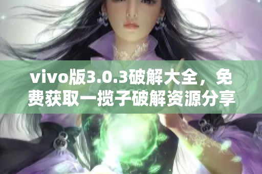 vivo版3.0.3破解大全，免费获取一揽子破解资源分享