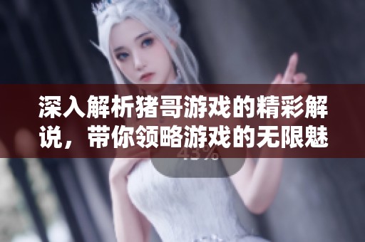 深入解析猪哥游戏的精彩解说，带你领略游戏的无限魅力