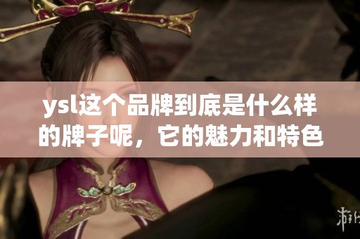 ysl这个品牌到底是什么样的牌子呢，它的魅力和特色是什么呢