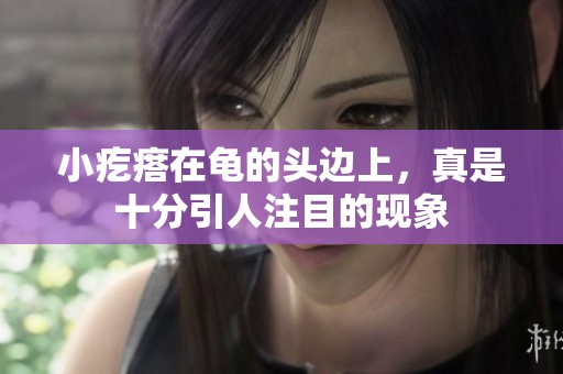 小疙瘩在龟的头边上，真是十分引人注目的现象