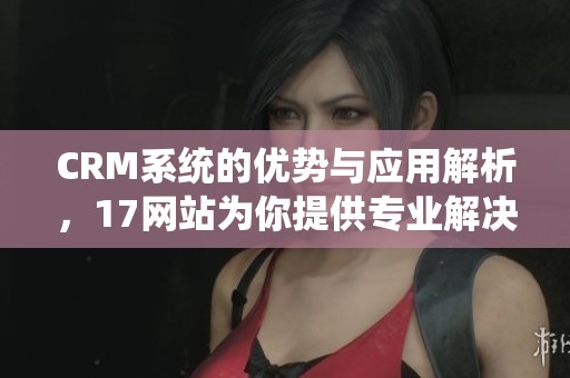 CRM系统的优势与应用解析，17网站为你提供专业解决方案