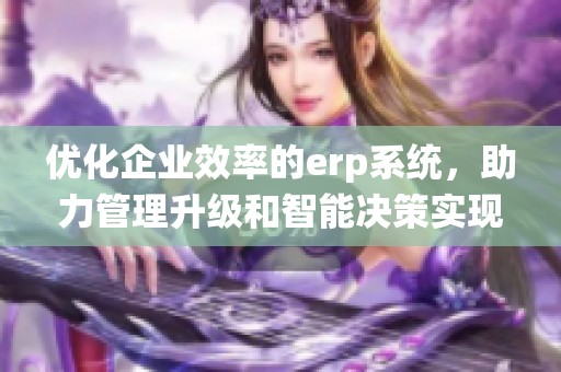优化企业效率的erp系统，助力管理升级和智能决策实现