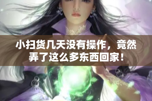小扫货几天没有操作，竟然弄了这么多东西回家！