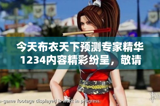 今天布衣天下预测专家精华1234内容精彩纷呈，敬请关注各位的精彩分析与见解。