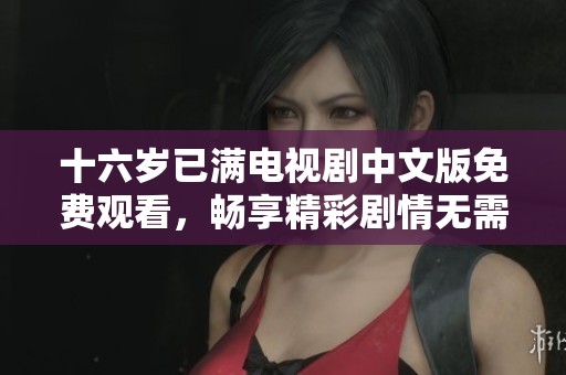 十六岁已满电视剧中文版免费观看，畅享精彩剧情无需付费！