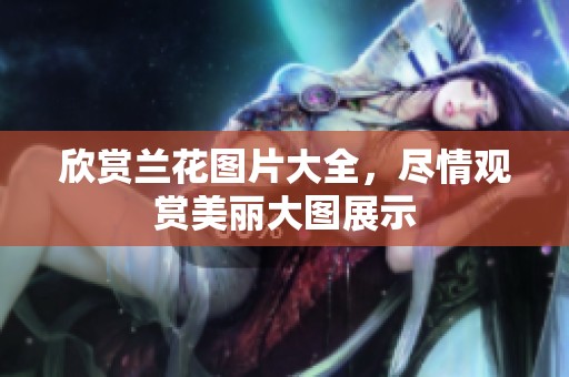 欣赏兰花图片大全，尽情观赏美丽大图展示