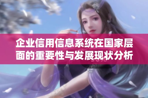 企业信用信息系统在国家层面的重要性与发展现状分析