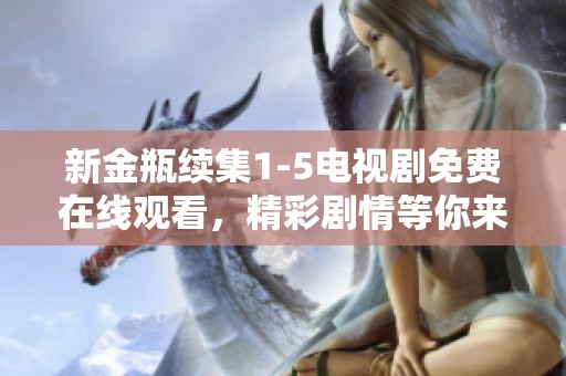 新金瓶续集1-5电视剧免费在线观看，精彩剧情等你来发掘！