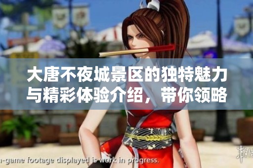 大唐不夜城景区的独特魅力与精彩体验介绍，带你领略无限风光