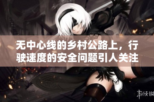 无中心线的乡村公路上，行驶速度的安全问题引人关注