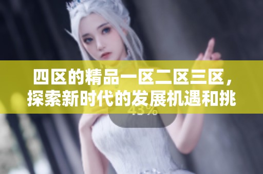 四区的精品一区二区三区，探索新时代的发展机遇和挑战
