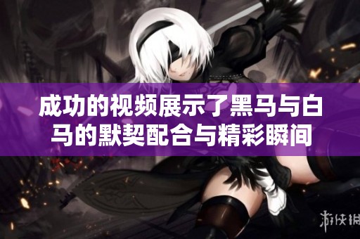 成功的视频展示了黑马与白马的默契配合与精彩瞬间