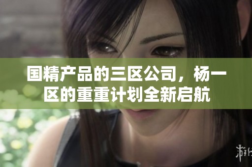 国精产品的三区公司，杨一区的重重计划全新启航