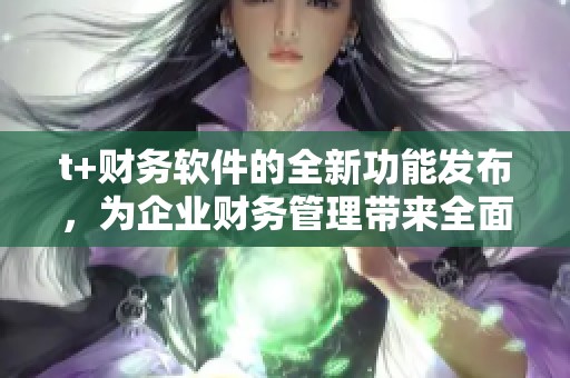 t+财务软件的全新功能发布，为企业财务管理带来全面提升