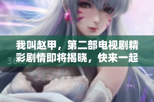 我叫赵甲，第二部电视剧精彩剧情即将揭晓，快来一起期待吧