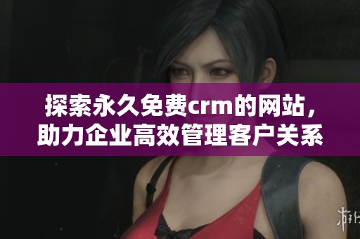 探索永久免费crm的网站，助力企业高效管理客户关系的最佳选择