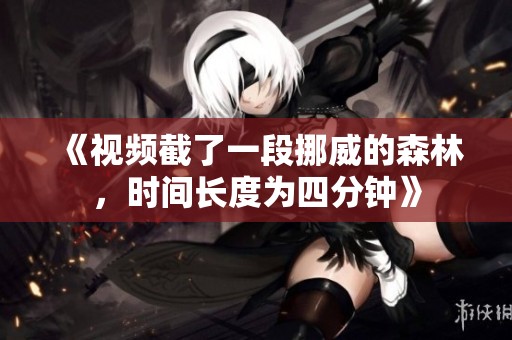 《视频截了一段挪威的森林，时间长度为四分钟》