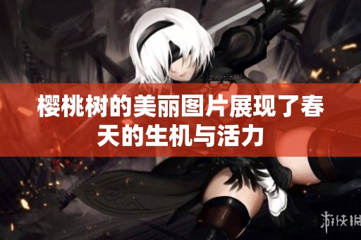樱桃树的美丽图片展现了春天的生机与活力