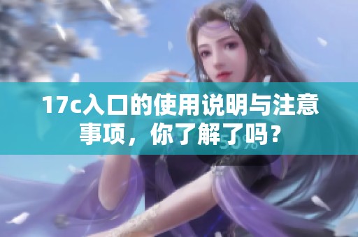 17c入口的使用说明与注意事项，你了解了吗？