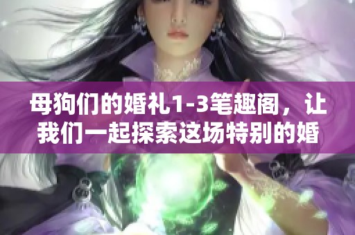 母狗们的婚礼1-3笔趣阁，让我们一起探索这场特别的婚礼故事