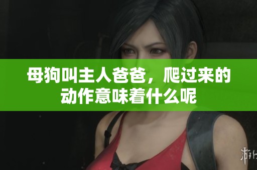 母狗叫主人爸爸，爬过来的动作意味着什么呢