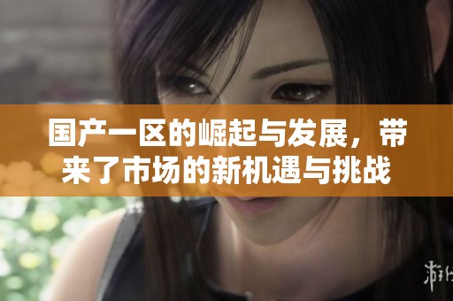 国产一区的崛起与发展，带来了市场的新机遇与挑战