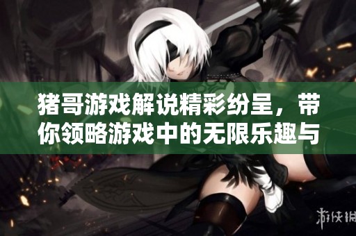 猪哥游戏解说精彩纷呈，带你领略游戏中的无限乐趣与技巧