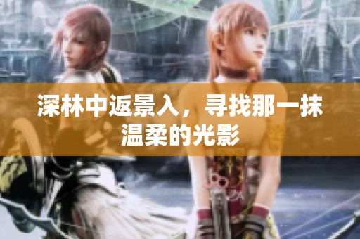 深林中返景入，寻找那一抹温柔的光影