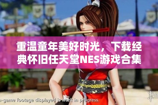 重温童年美好时光，下载经典怀旧任天堂NES游戏合集