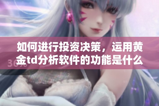 如何进行投资决策，运用黄金td分析软件的功能是什么？