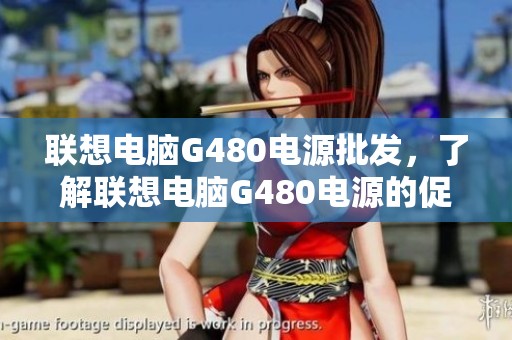 联想电脑G480电源批发，了解联想电脑G480电源的促销价格与产地信息