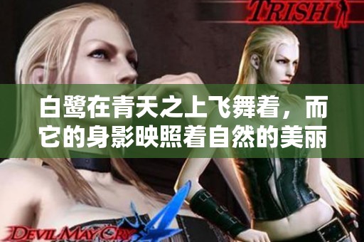 白鹭在青天之上飞舞着，而它的身影映照着自然的美丽