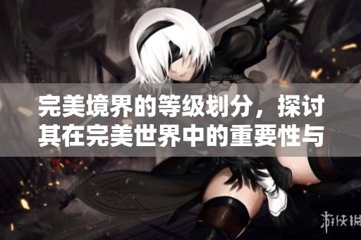 完美境界的等级划分，探讨其在完美世界中的重要性与影响