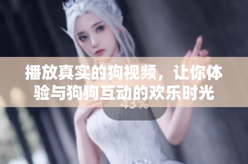 播放真实的狗视频，让你体验与狗狗互动的欢乐时光