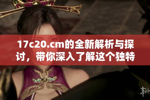 17c20.cm的全新解析与探讨，带你深入了解这个独特的领域