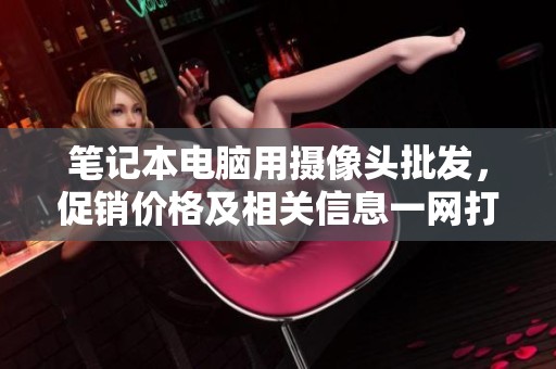 笔记本电脑用摄像头批发，促销价格及相关信息一网打尽