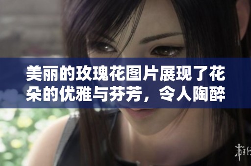 美丽的玫瑰花图片展现了花朵的优雅与芬芳，令人陶醉其中