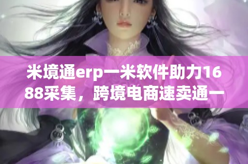 米境通erp一米软件助力1688采集，跨境电商速卖通一米更高效
