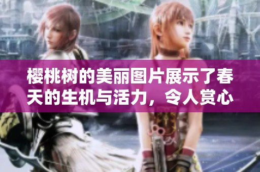 樱桃树的美丽图片展示了春天的生机与活力，令人赏心悦目至极
