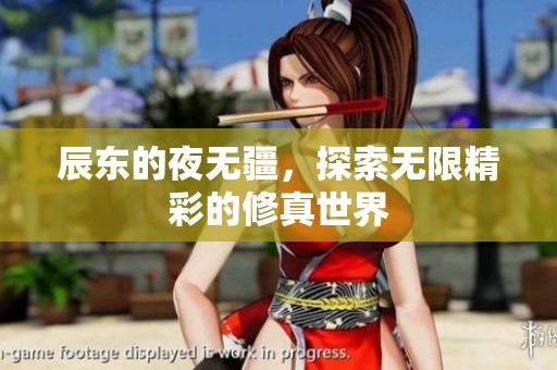 辰东的夜无疆，探索无限精彩的修真世界