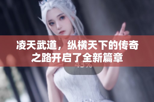 凌天武道，纵横天下的传奇之路开启了全新篇章