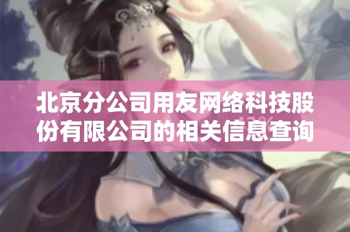 北京分公司用友网络科技股份有限公司的相关信息查询与介绍