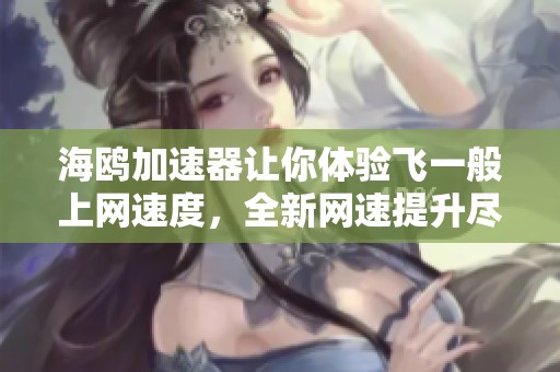 海鸥加速器让你体验飞一般上网速度，全新网速提升尽在海鸥加速器！
