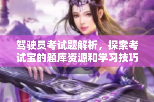 驾驶员考试题解析，探索考试宝的题库资源和学习技巧